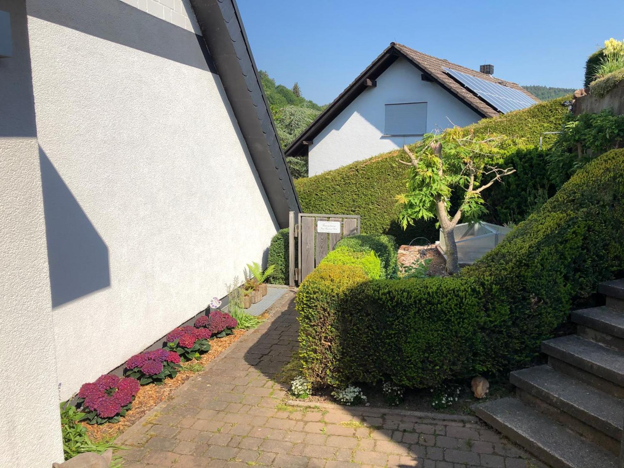 Burg Freienstein Blick 4 Sterne Mit Sauna Gammelsbach Exterior foto